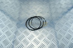 Piston rings  QSL9