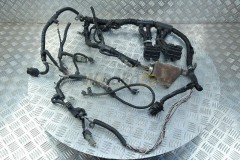 Electric harness  QSM11